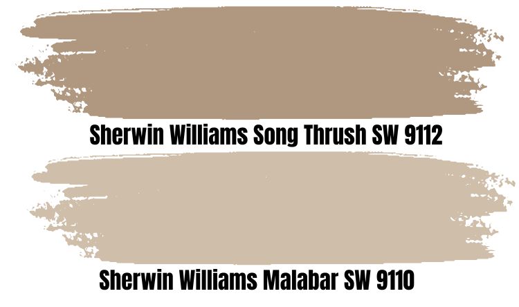 Sherwin Williams Song Thrush