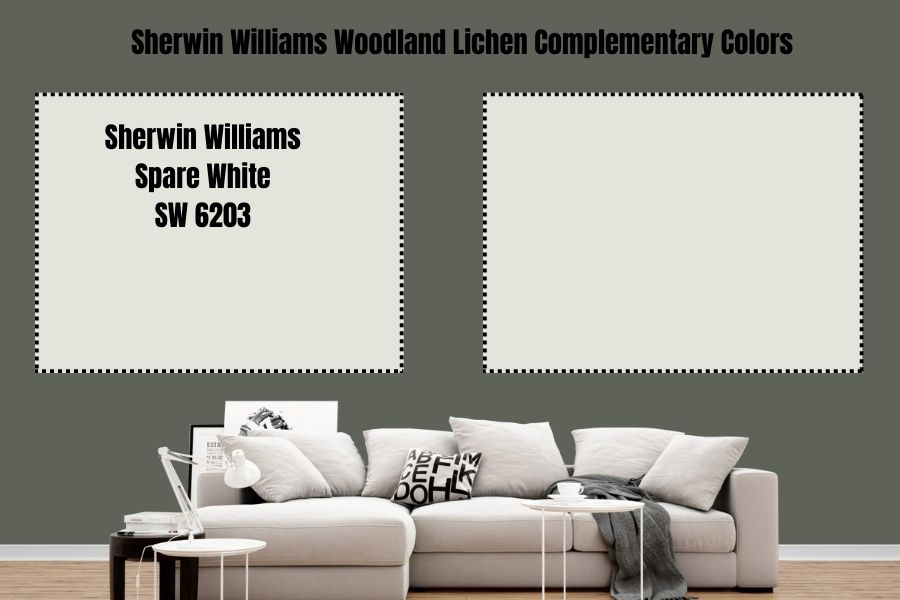 Sherwin Williams Spare White SW 6203