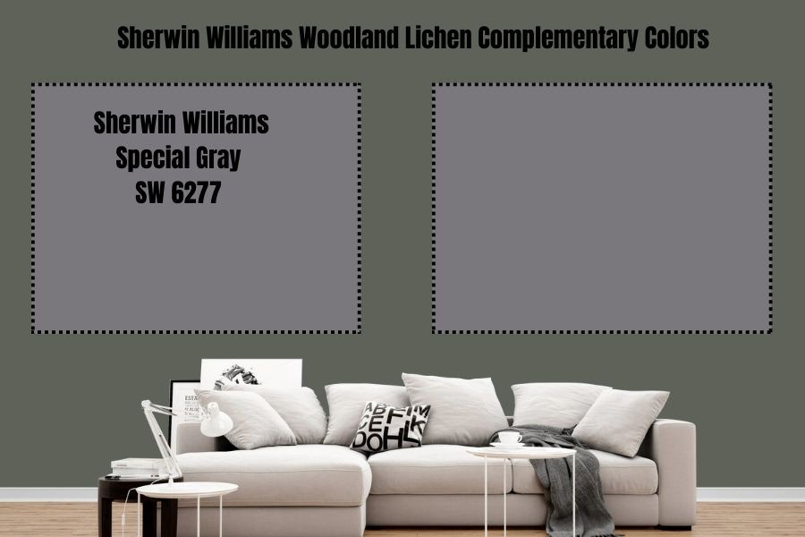 Sherwin Williams Special Gray SW 6277