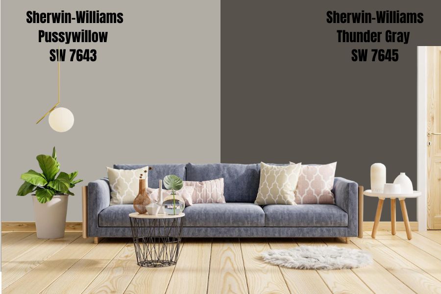 Sherwin-Williams Thunder Gray SW 7645