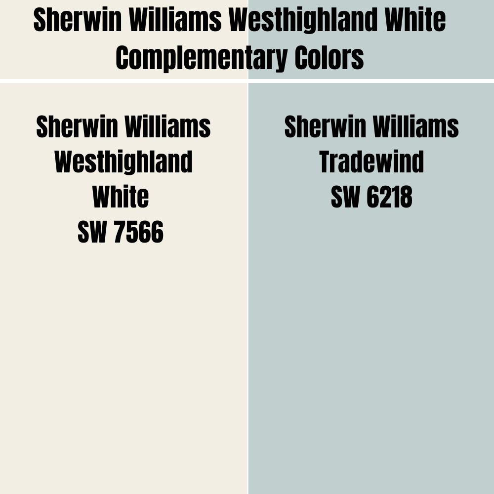 Sherwin Williams Tradewind SW 6218