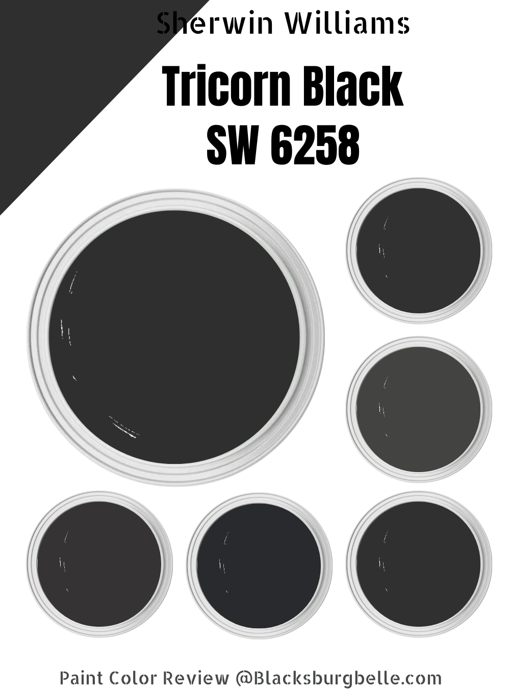 Sherwin Williams Tricorn Black SW 6258