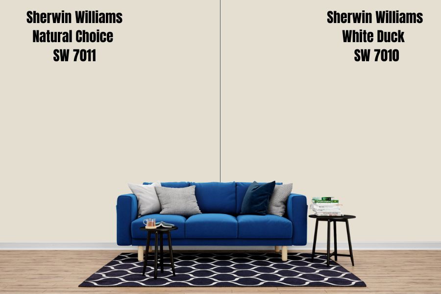 Sherwin Williams White Duck SW 7010