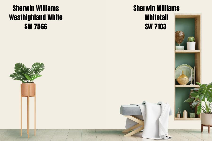 Sherwin Williams Whitetail SW 7103