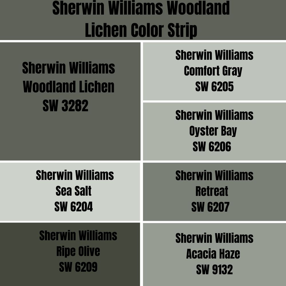 Sherwin Williams Woodland Lichen Color Strip