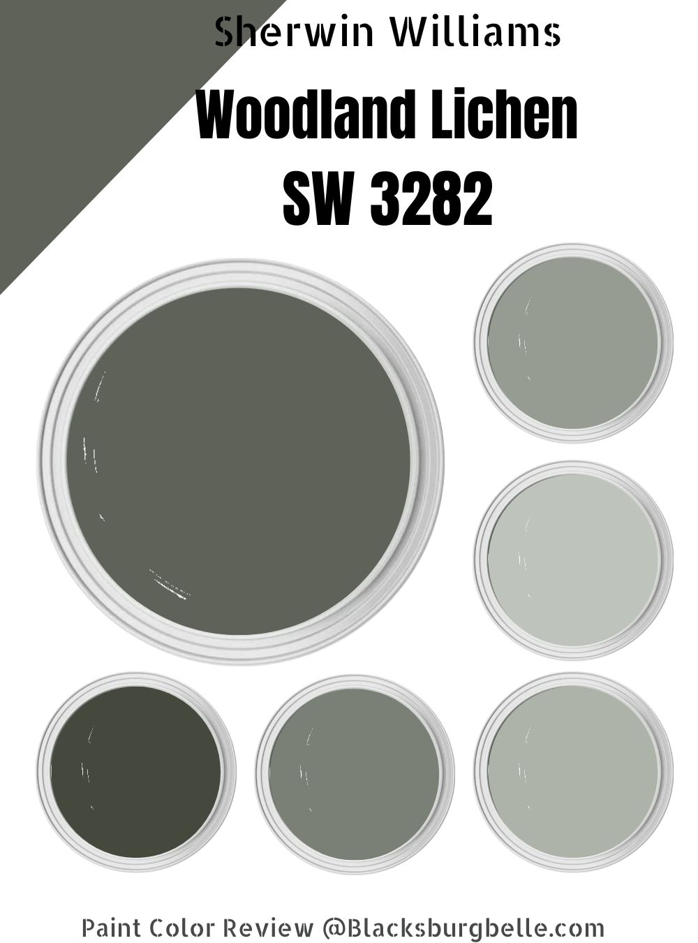 Sherwin Williams Woodland Lichen SW 3282