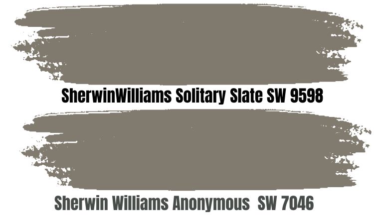 SherwinWilliams Solitary Slate SW 9598