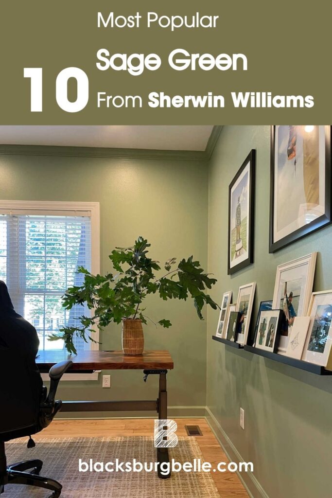10 Best Sherwin Williams Sage Green Colors