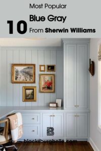 10 Perfect Sherwin Williams Blue Gray Paint Colors
