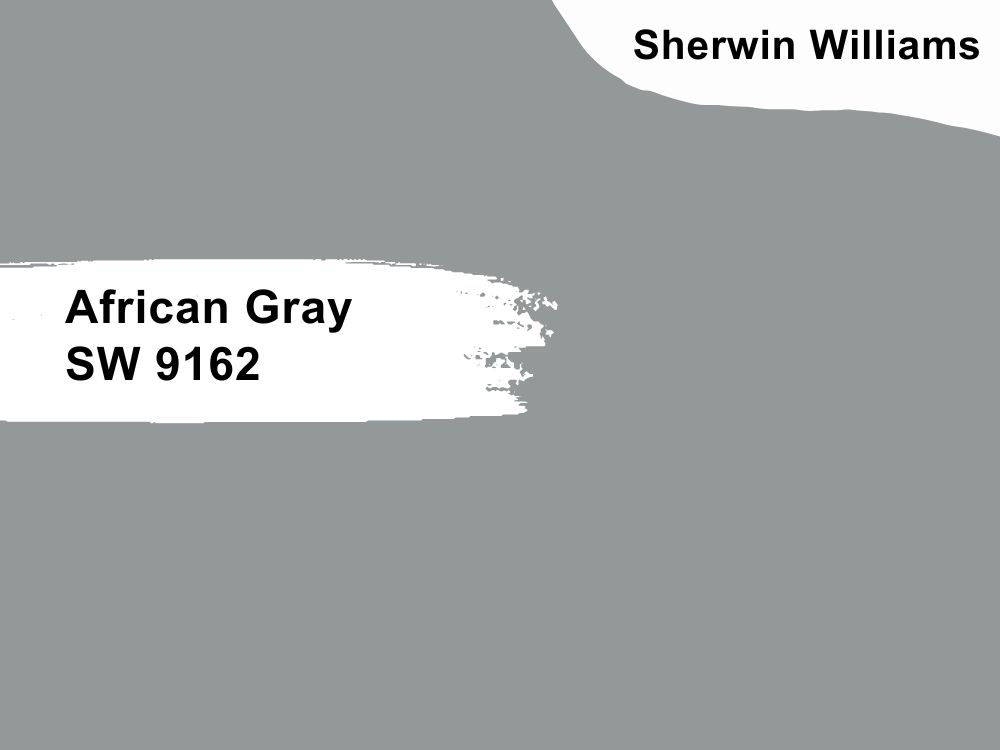 12. African Gray SW 9162