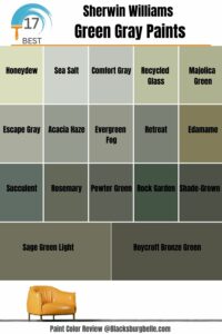 17 Best Sherwin-Williams Green Gray Paints (Trend 2023)