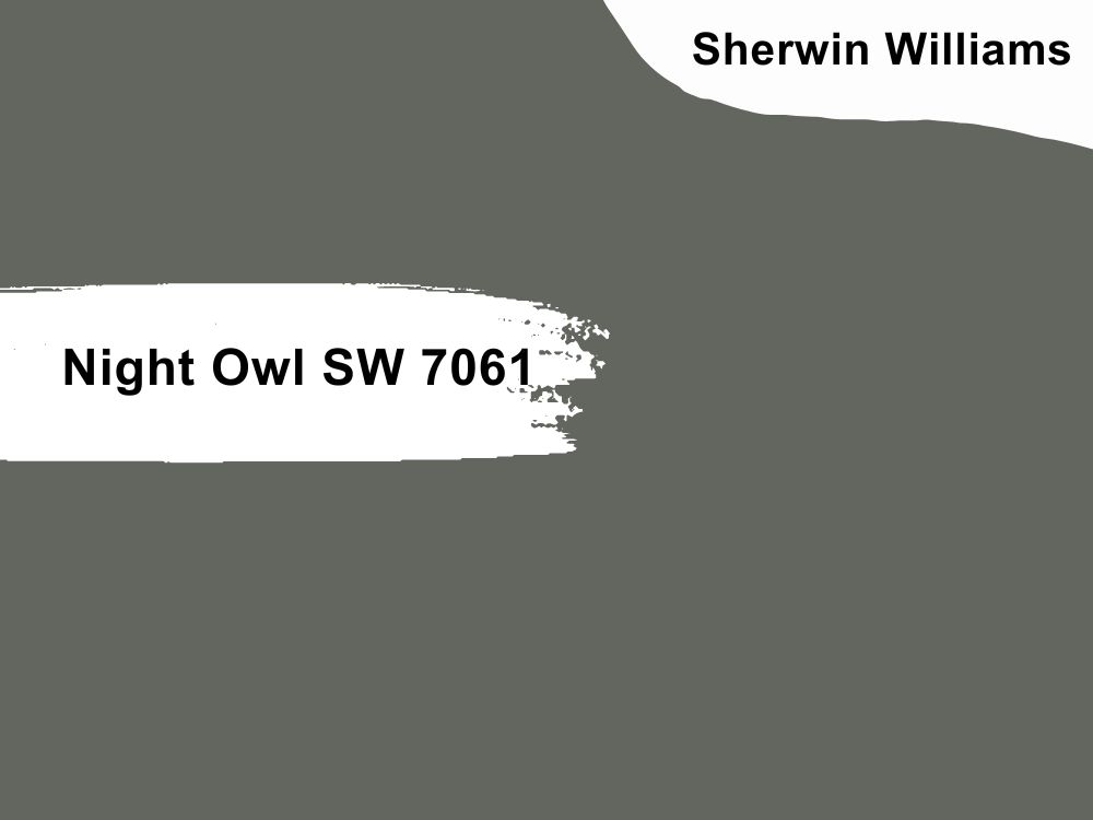 19. Night Owl SW 7061