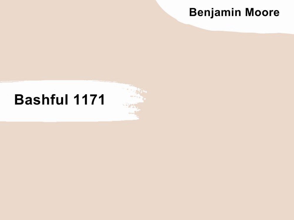 3. Bashful 1171