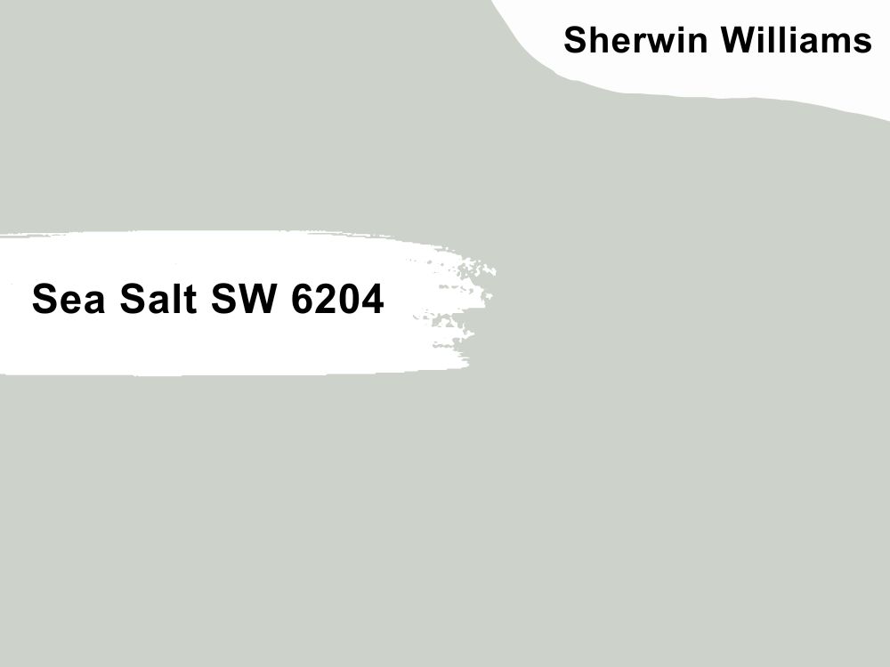 3. Sea Salt SW 6204