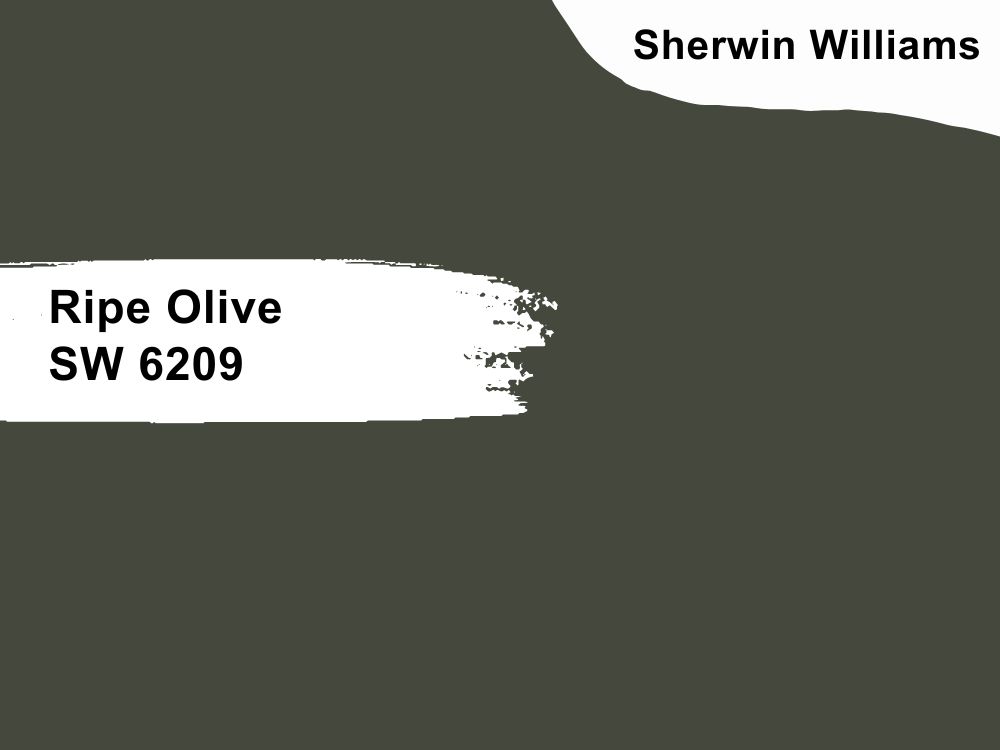 6. Ripe Olive SW 6209