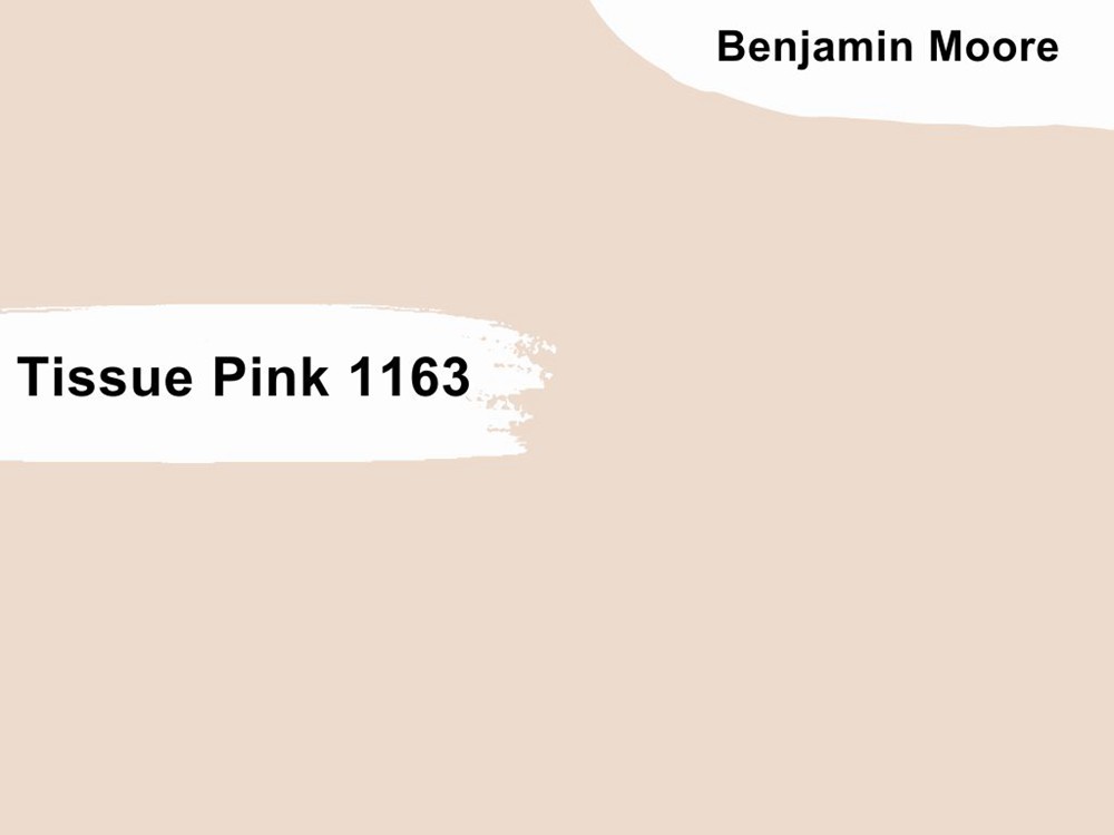 8.Tissue Pink 1163