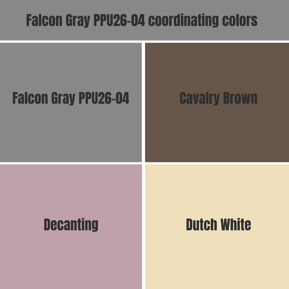 Falcon Gray PPU26-04