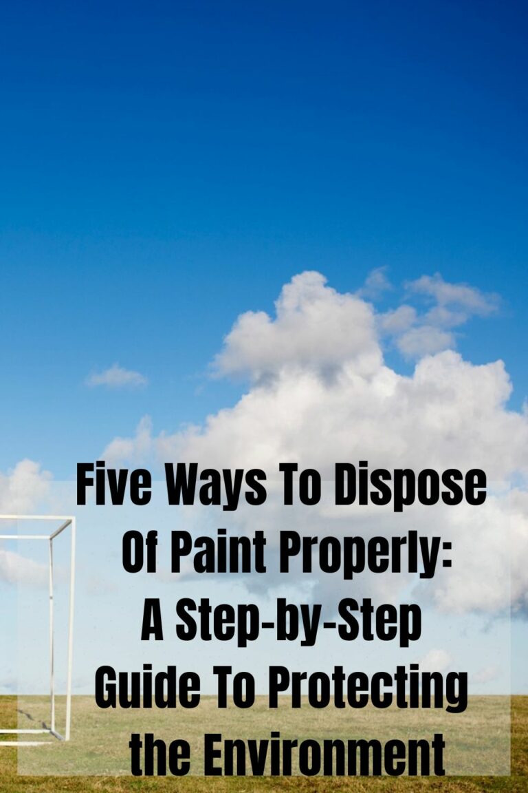 Five Ways To Dispose Of Paint Properly A Step-by-Step Guide To Protecting the Environment