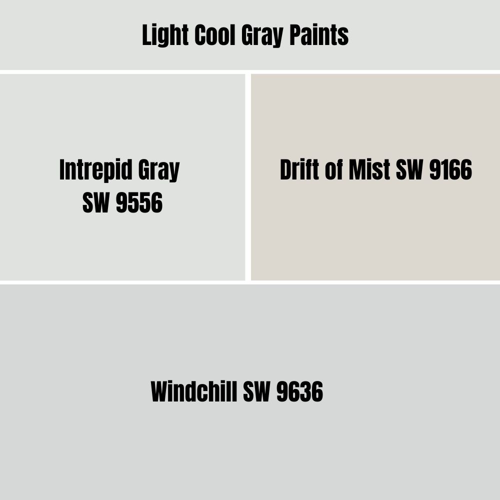 Light Cool Gray Paints