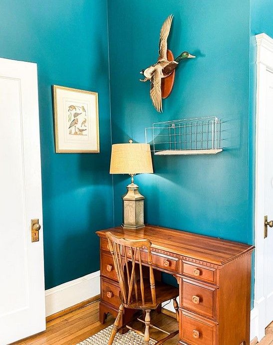 Sherwin Williams Blue Peacock on interior walls and an accent wall.01