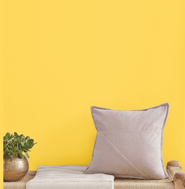 Sherwin Williams Lemon Twist displays a strong yellow tone in both interior and exterior spaces. (2)