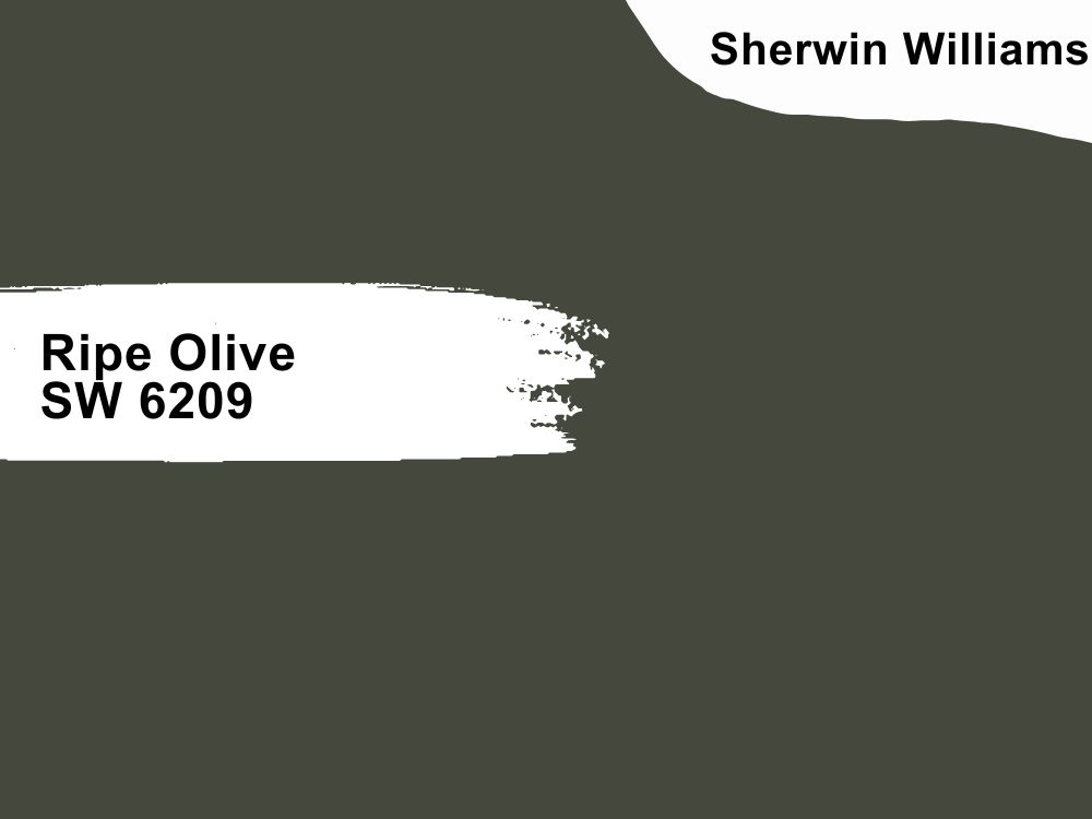 Sherwin Williams Ripe Olive SW 6209