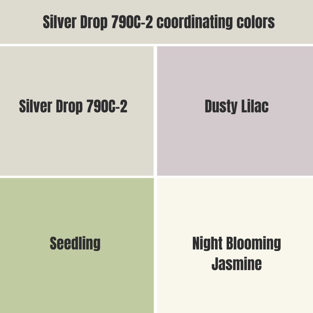 Silver Drop 790C-2 coordinating colors