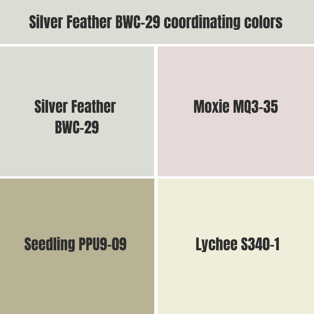 Silver Feather BWC-29