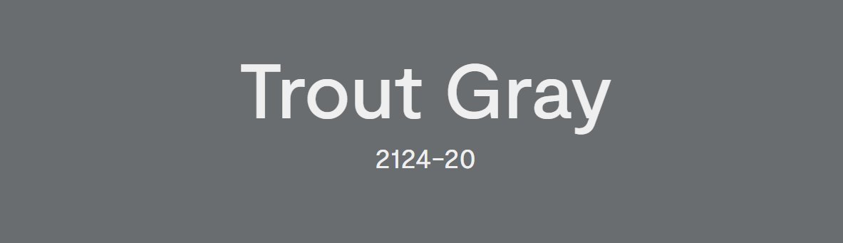 Trout Gray 2124-20