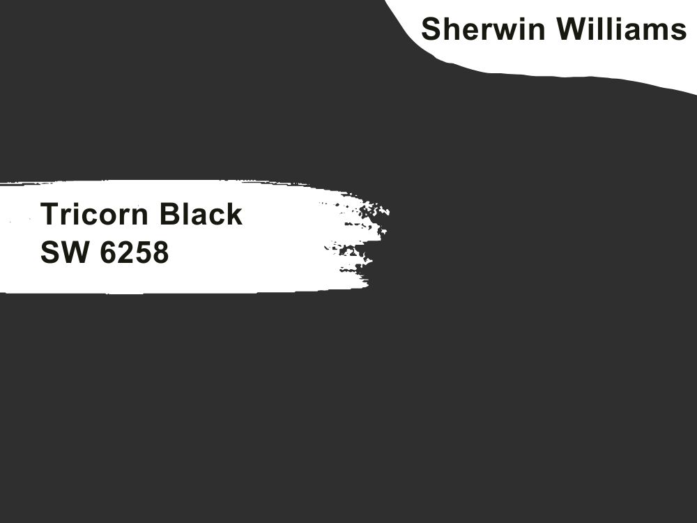 1.Tricorn Black SW 6258