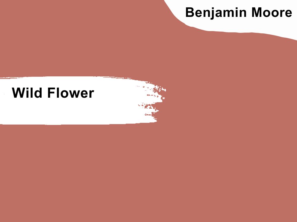 12. Benjamin Moore Wild Flower