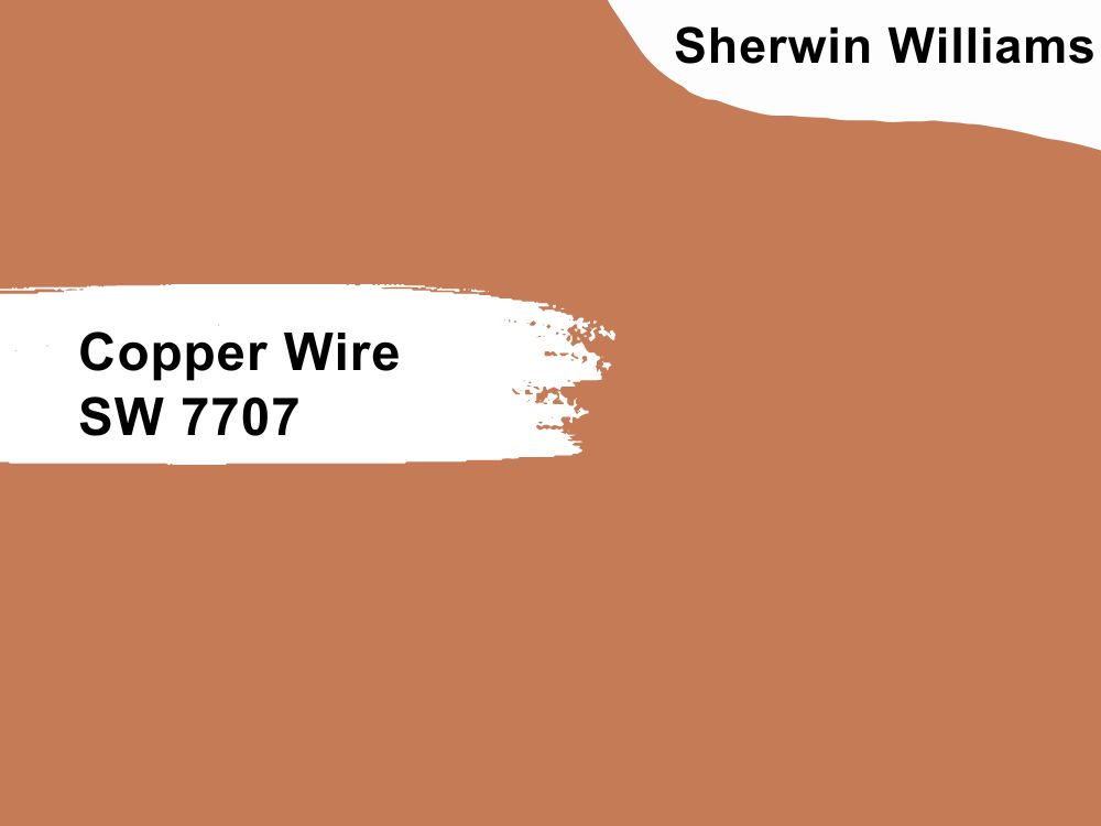 13. Sherwin Williams Copper Wire SW 7707