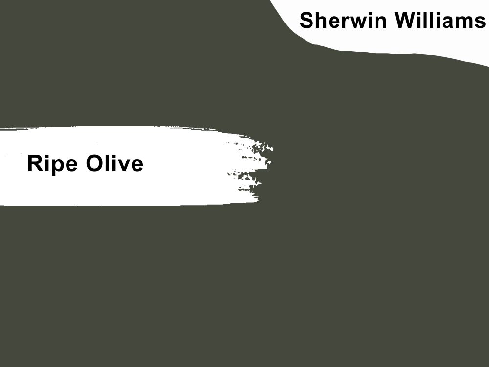 15. Sherwin Williams Ripe Olive