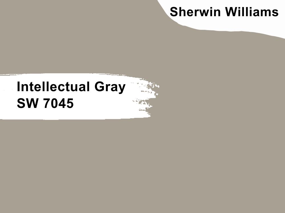 16. Intellectual Gray SW 7045