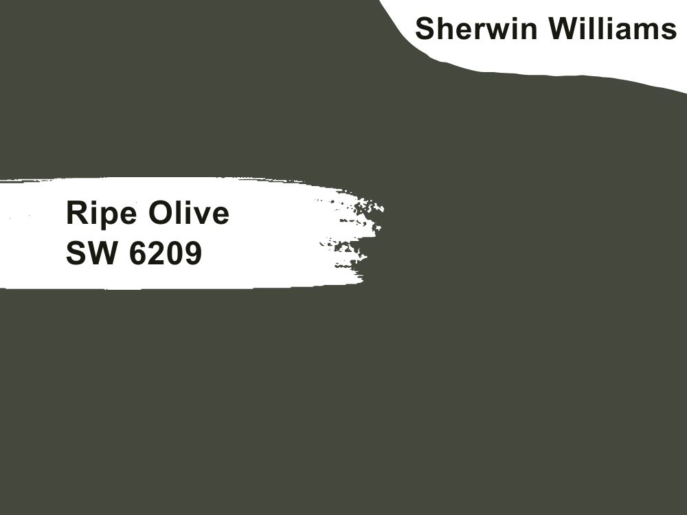 18. Ripe Olive SW 6209