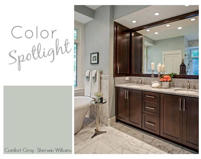 19. Sherwin Williams Comfort Gray SW 6205