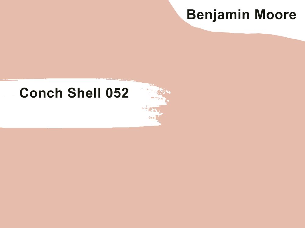 2. Conch Shell 052