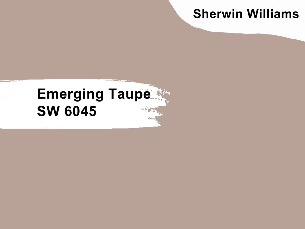 25. Emerging Taupe SW 6045