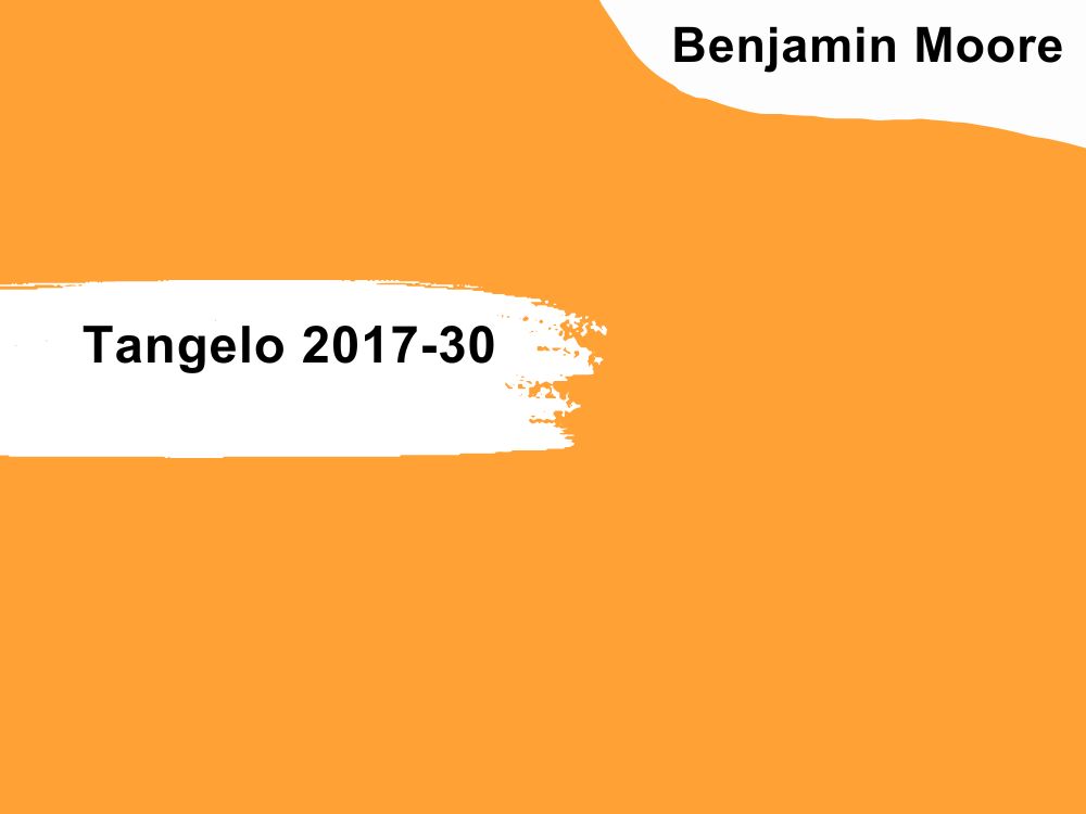 37. Benjamin Moore Tangelo 2017-30