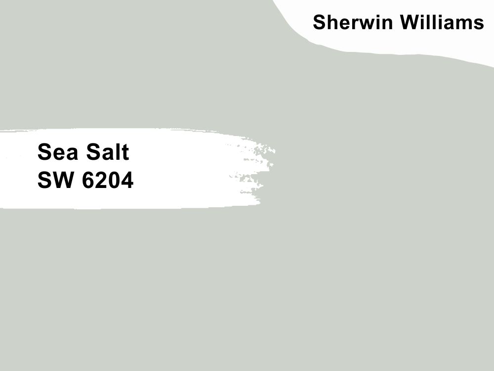4. Sea Salt SW 6204