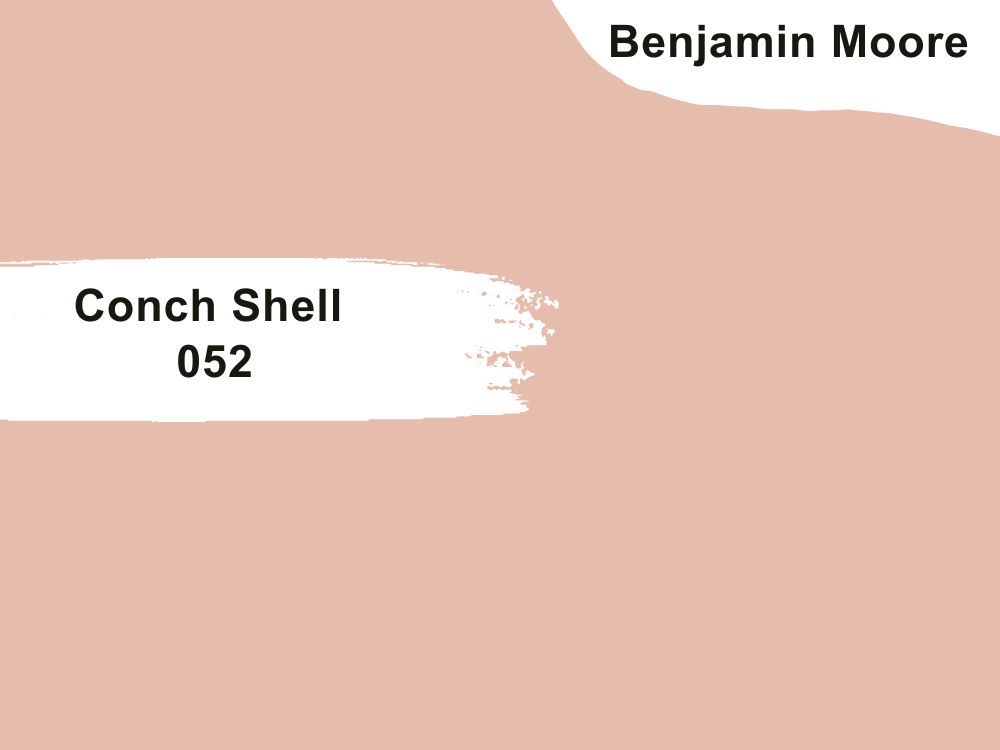 5. Benjamin Moore Conch Shell 052
