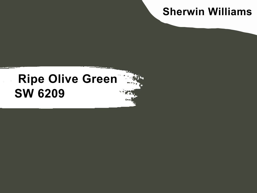 6. Sherwin Williams Ripe Olive Green SW 6209