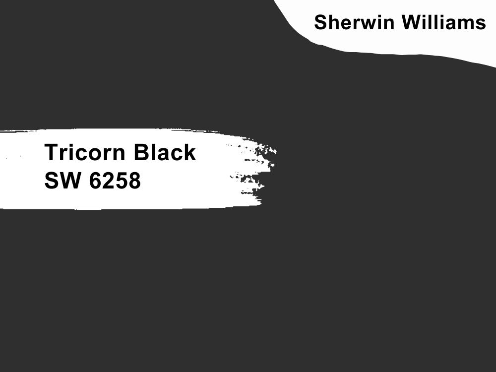 7. Tricorn Black SW 6258