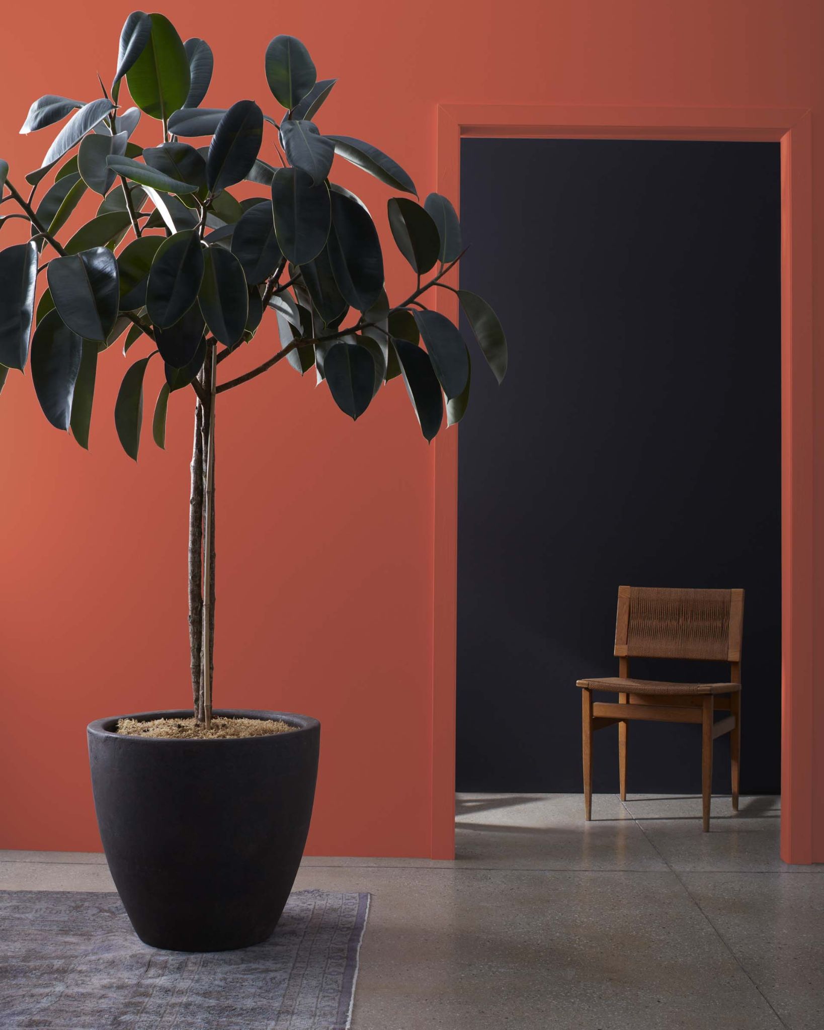 9. Benjamin Moore Terracotta Tile 2090-30
