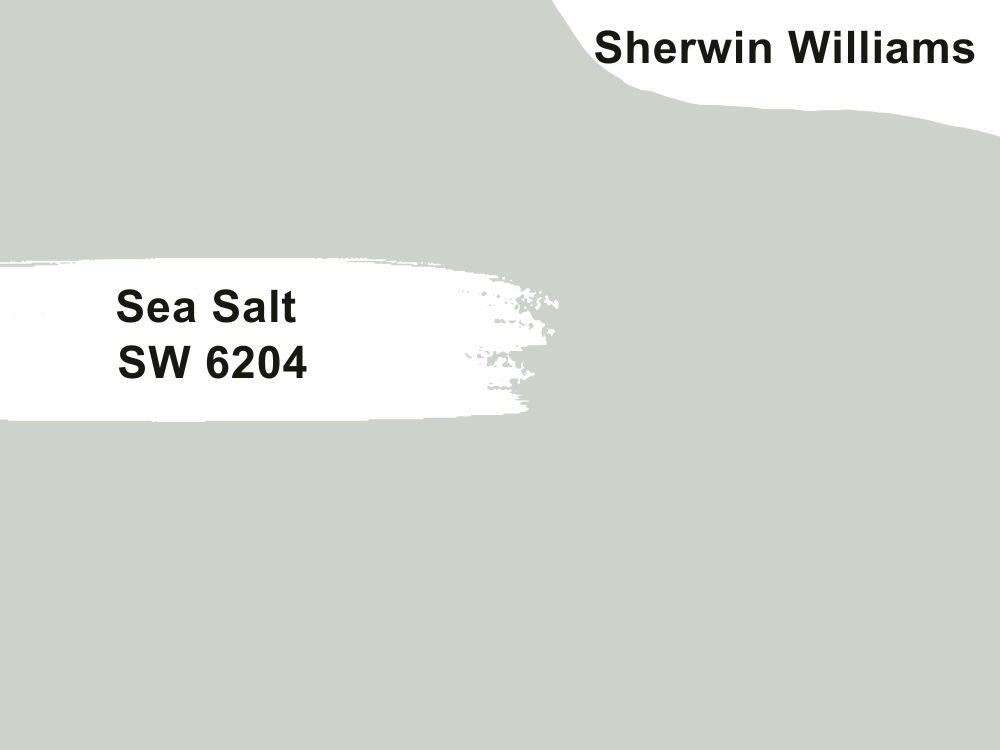 9. Sea Salt SW 6204