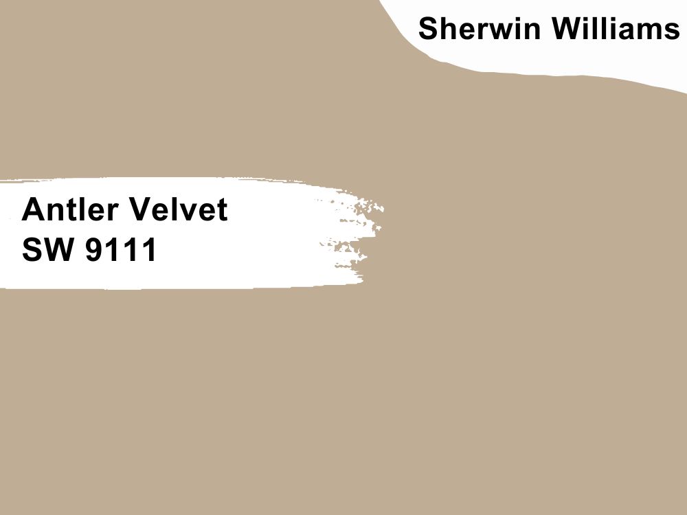 Antler Velvet SW 9111