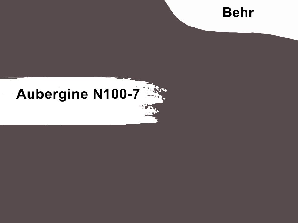 Aubergine-N100-7
