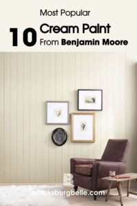 Best Sherwin-Williams Warm Gray Paints