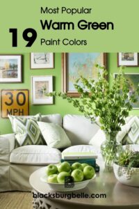 Best Terracotta Paints Color For Your Home