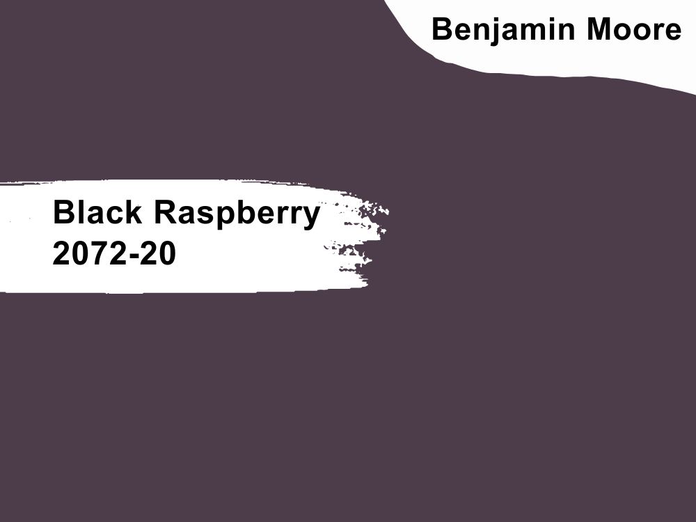 Black Raspberry 2072-20